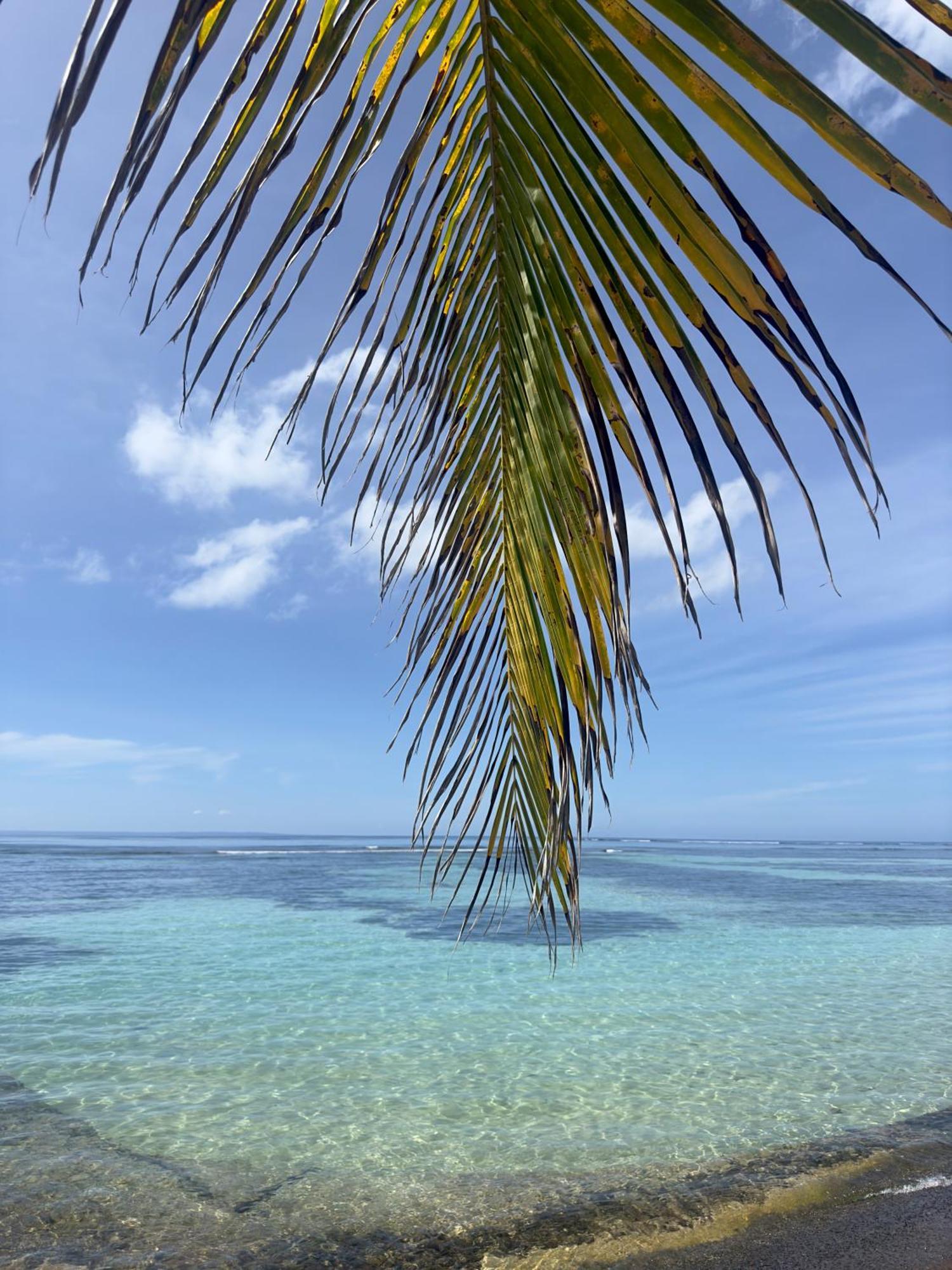 Unique : Pieds Dans L'Eau Face Au Lagon Sainte-Anne  Exterior foto